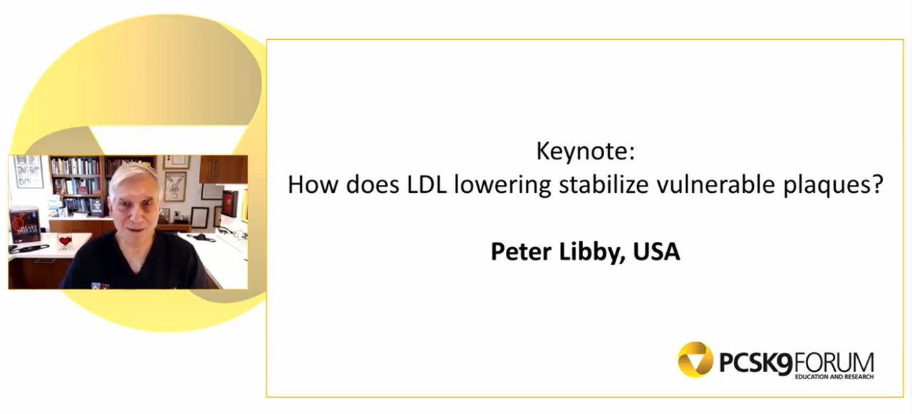 Peter Libby's presentation