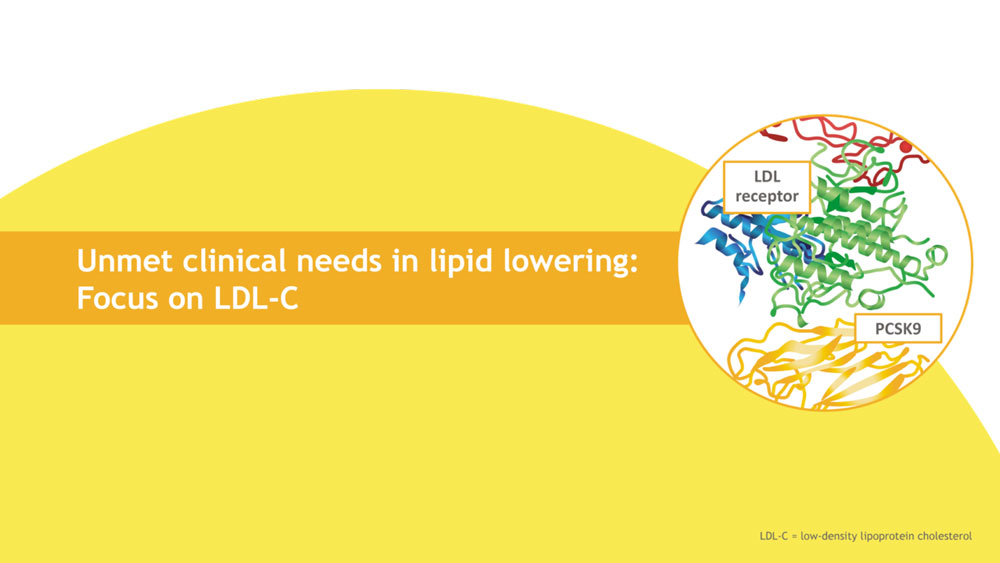 Unmet clinical needs in lipid lowering: Focus on LDL-C
